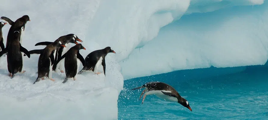 모임 이미지 1