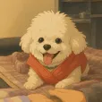 member face
