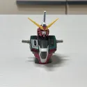 member face