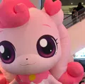member face