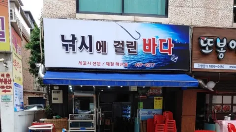 정모 대표 이미지