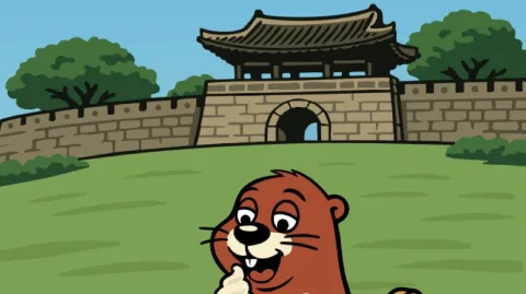 정모 대표 이미지