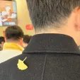 member face