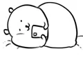 member face
