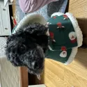 member face