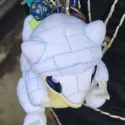 member face