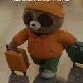 member face
