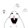 member face