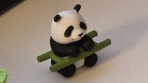 정모 대표 이미지
