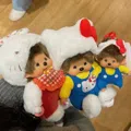 member face