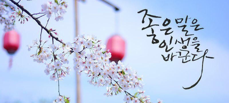 모임 이미지 1