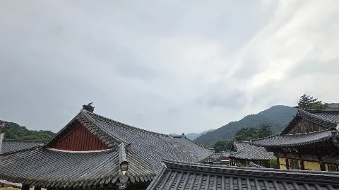 정모 대표 이미지