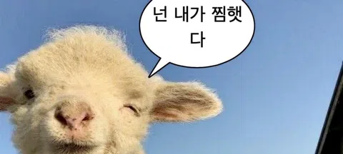 모임 대표 이미지