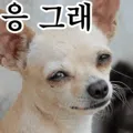 member face