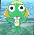 member face