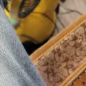 member face