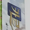 member face