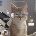 member face