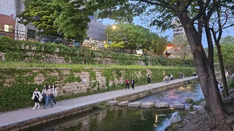 정모 대표 이미지