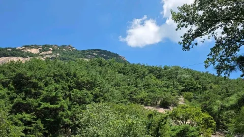 정모 대표 이미지