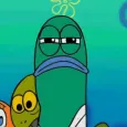 member face