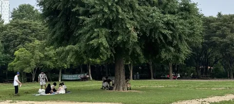 모임 대표 이미지