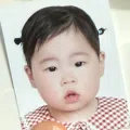 member face