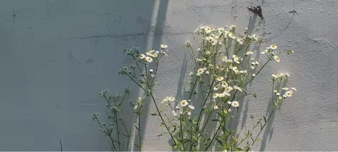 모임 대표 이미지