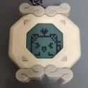 member face