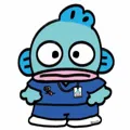member face