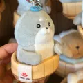 member face