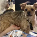 member face