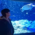 member face