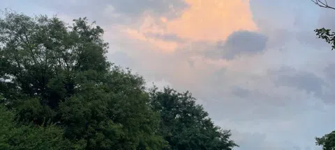 모임 대표 이미지