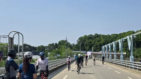 정모 대표 이미지