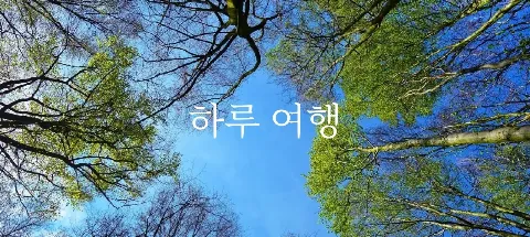 모임 대표 이미지