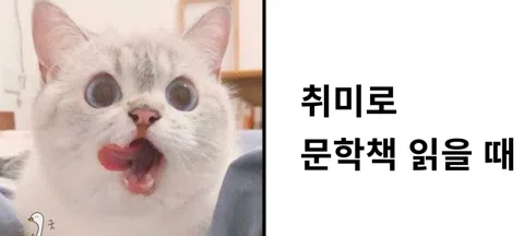 모임 대표 이미지