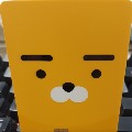 member face