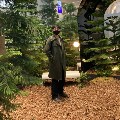 member face