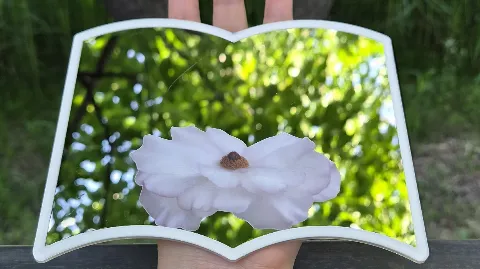정모 대표 이미지