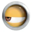member face