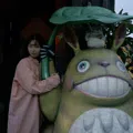 member face