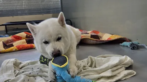 정모 대표 이미지