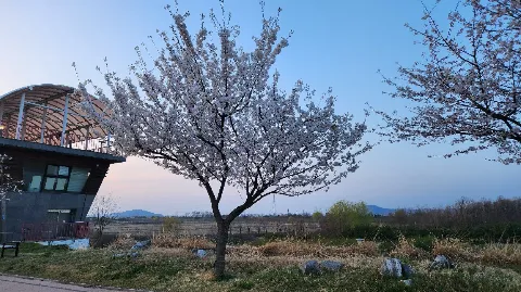 정모 대표 이미지