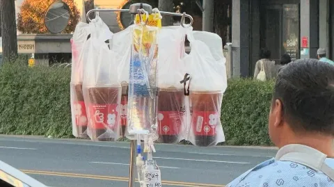 정모 대표 이미지