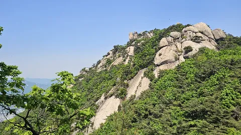 정모 대표 이미지