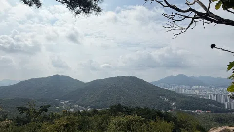 정모 대표 이미지