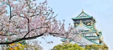 모임 대표 이미지