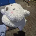 member face