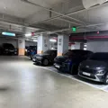 member face